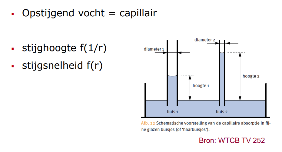 opstijgend vocht - capillaire werking opstijgend vocht - capillaire werking