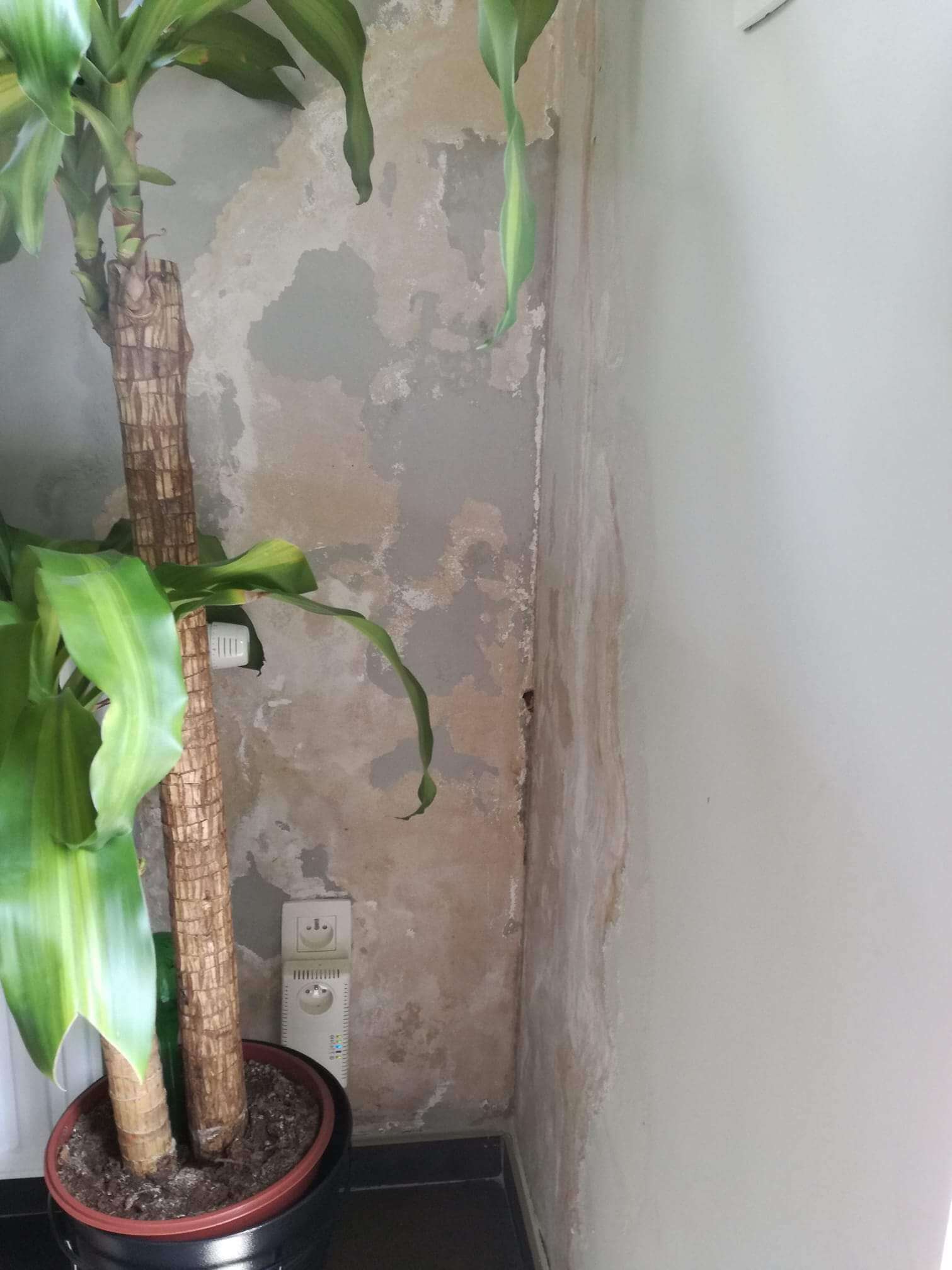 vochtproblemen muur opstijgend vocht (1) vochtproblemen muur opstijgend vocht
